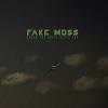 FAKE MOSS: Under The Great Black Sky
