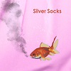 CAT PRINCESS: Silver Socks